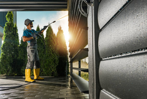 Best House Exterior Washing  in Scotland Neck, NC