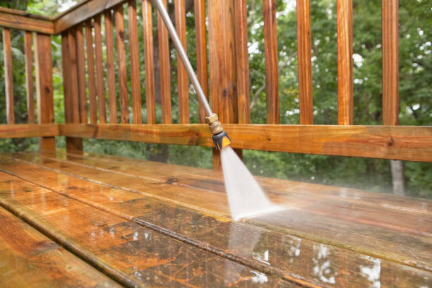 Best Restaurant Pressure Washing  in Scotland Neck, NC